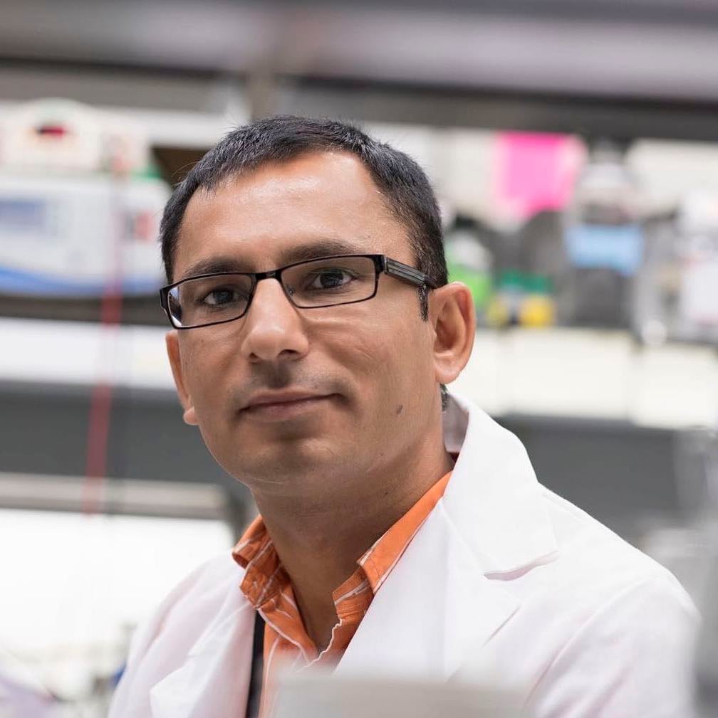 Dr. Jogender Tushir-Singh in a laboratory